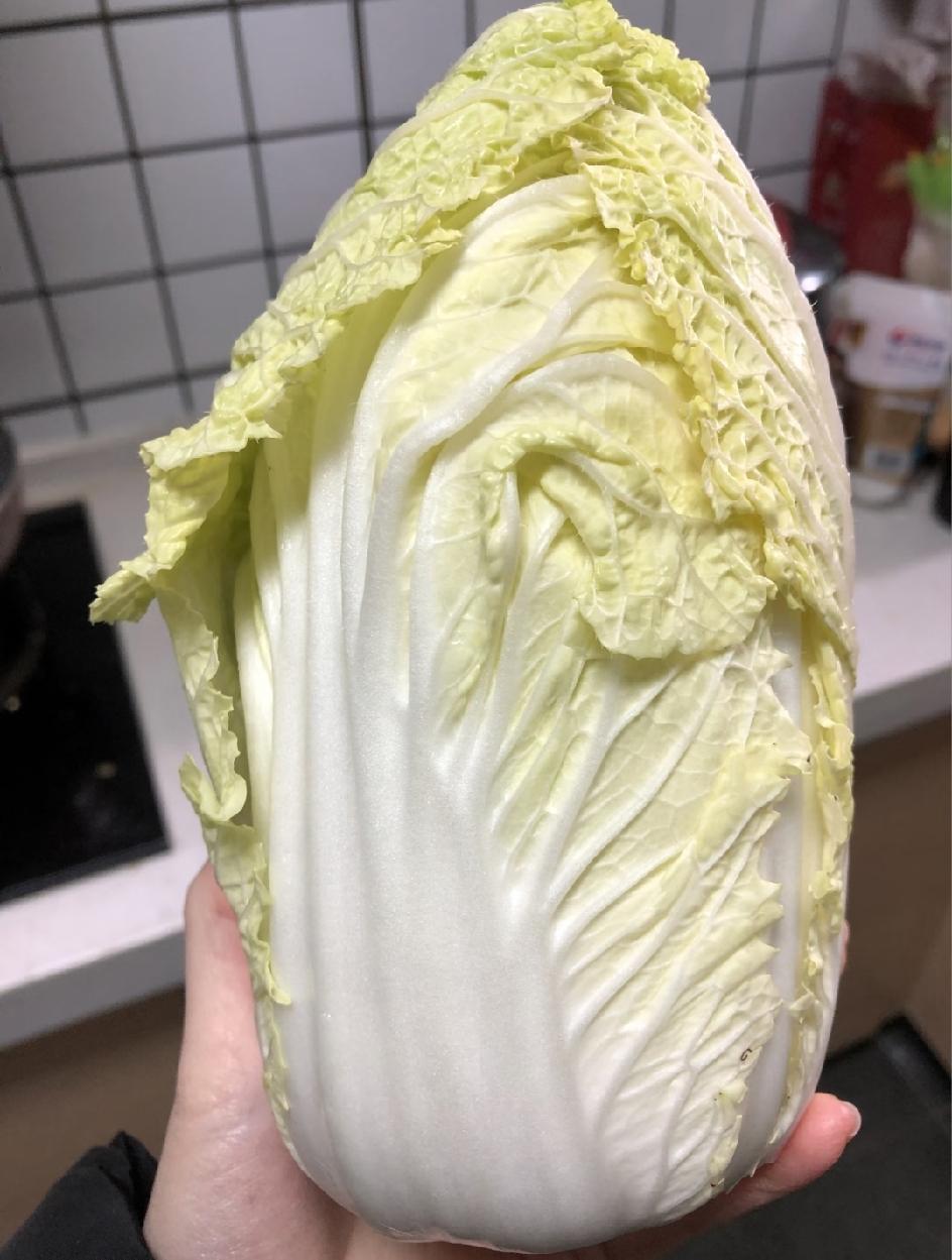 看到了白菜蘸取甲醛的新闻我扔了家里的20天前卖的大白菜本来想包白菜馅饺子的