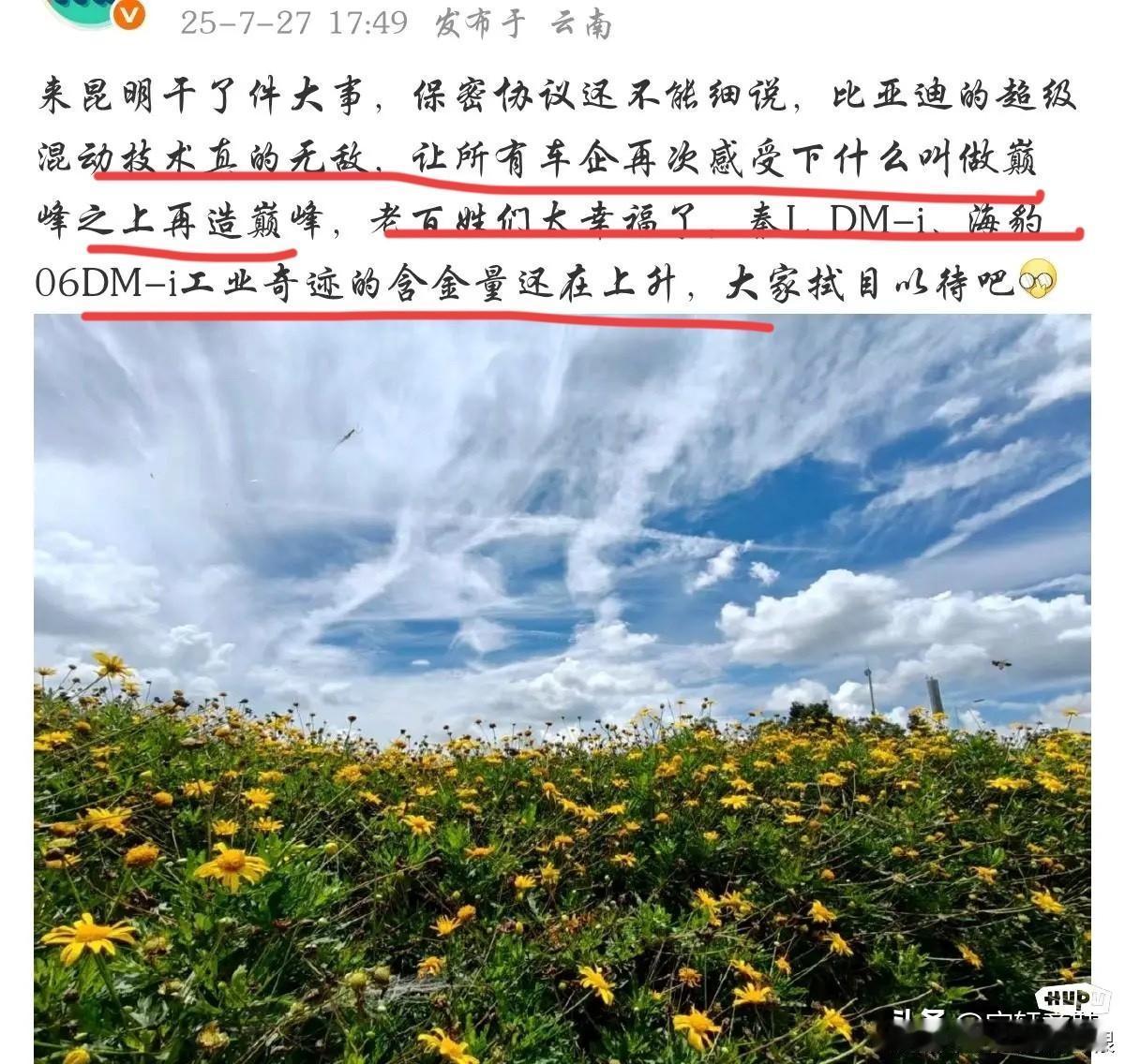 比亚迪：“兄弟们，准备接招了！”友商：“加油，看好你！”比亚迪：“话术变了？