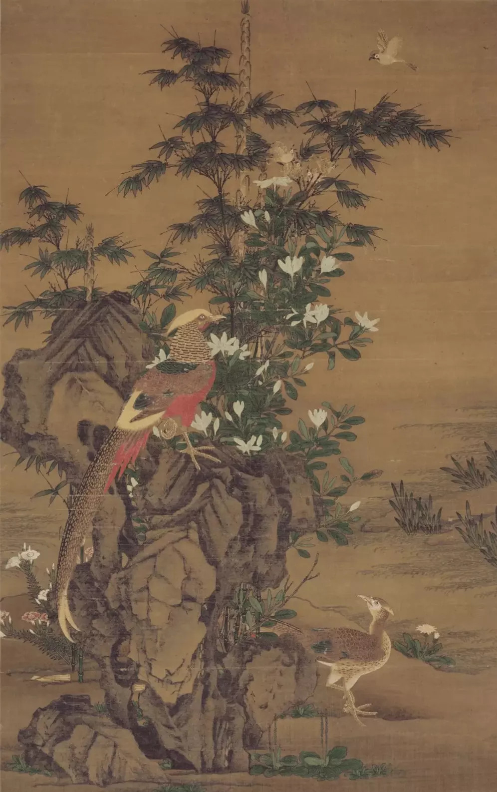 元王渊《花竹锦鸡图轴》绢本，纵135cmx横85cm。画竹石上下栖息着两头角
