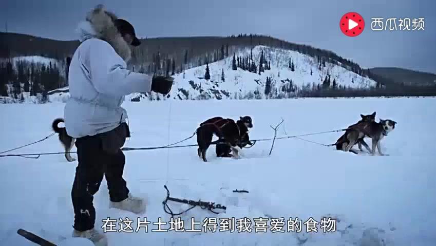 14854963527410633614.jpg?id=0