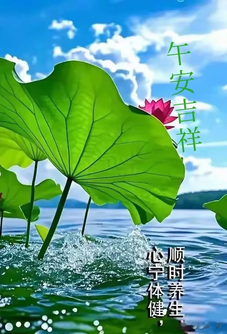 人生有缘一起走珍惜缘分情别丢坦诚相待无所求健康相伴到永久[