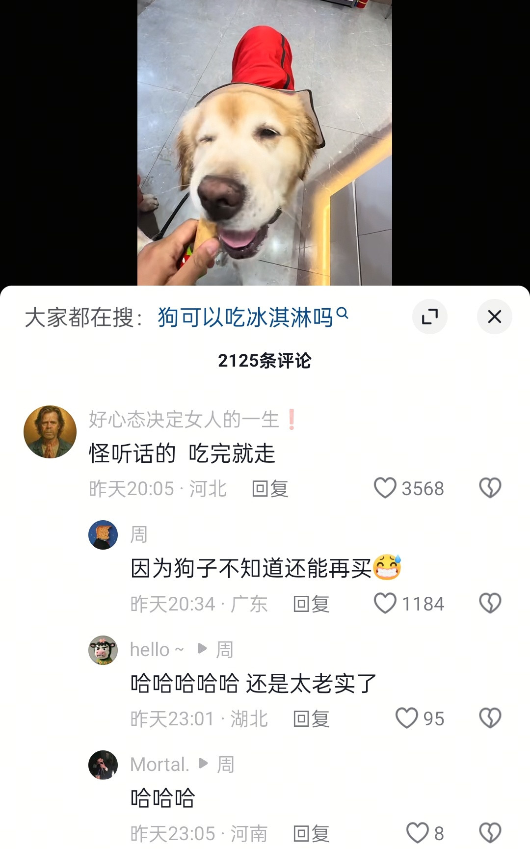 哈哈哈因为狗子不知道还能再买