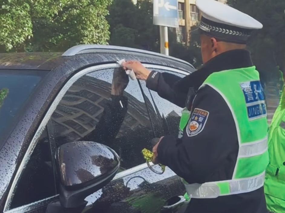 🔥昆明街头违停扎堆堵哭路人！罚款扣分也挡不住？昆明多条路段违停车“见缝插针”，