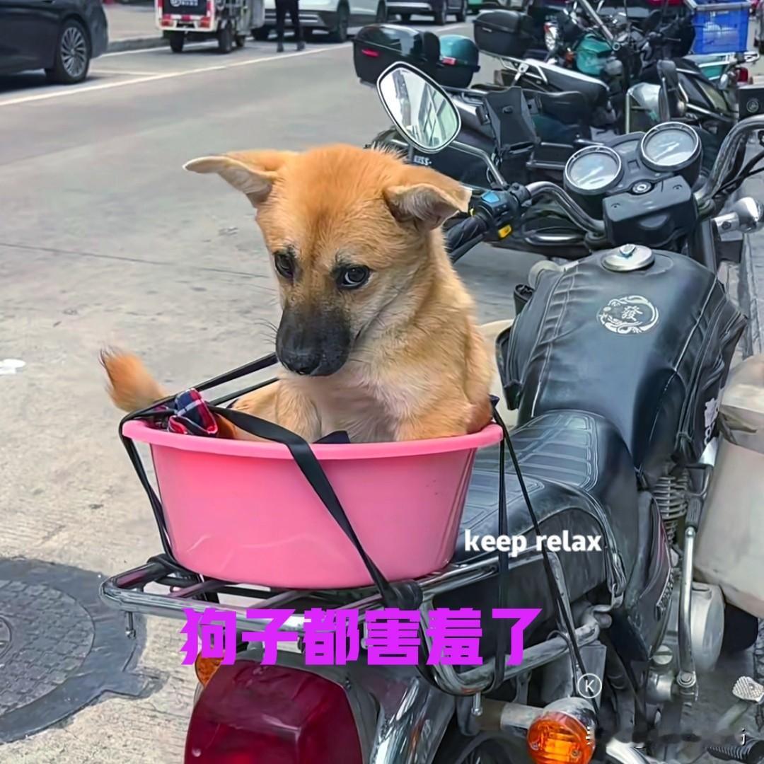 小伙去赶集，狗子要撵路。小伙没有办法，于是找来一个塑料盆，把狗子放在盆里，捆绑在