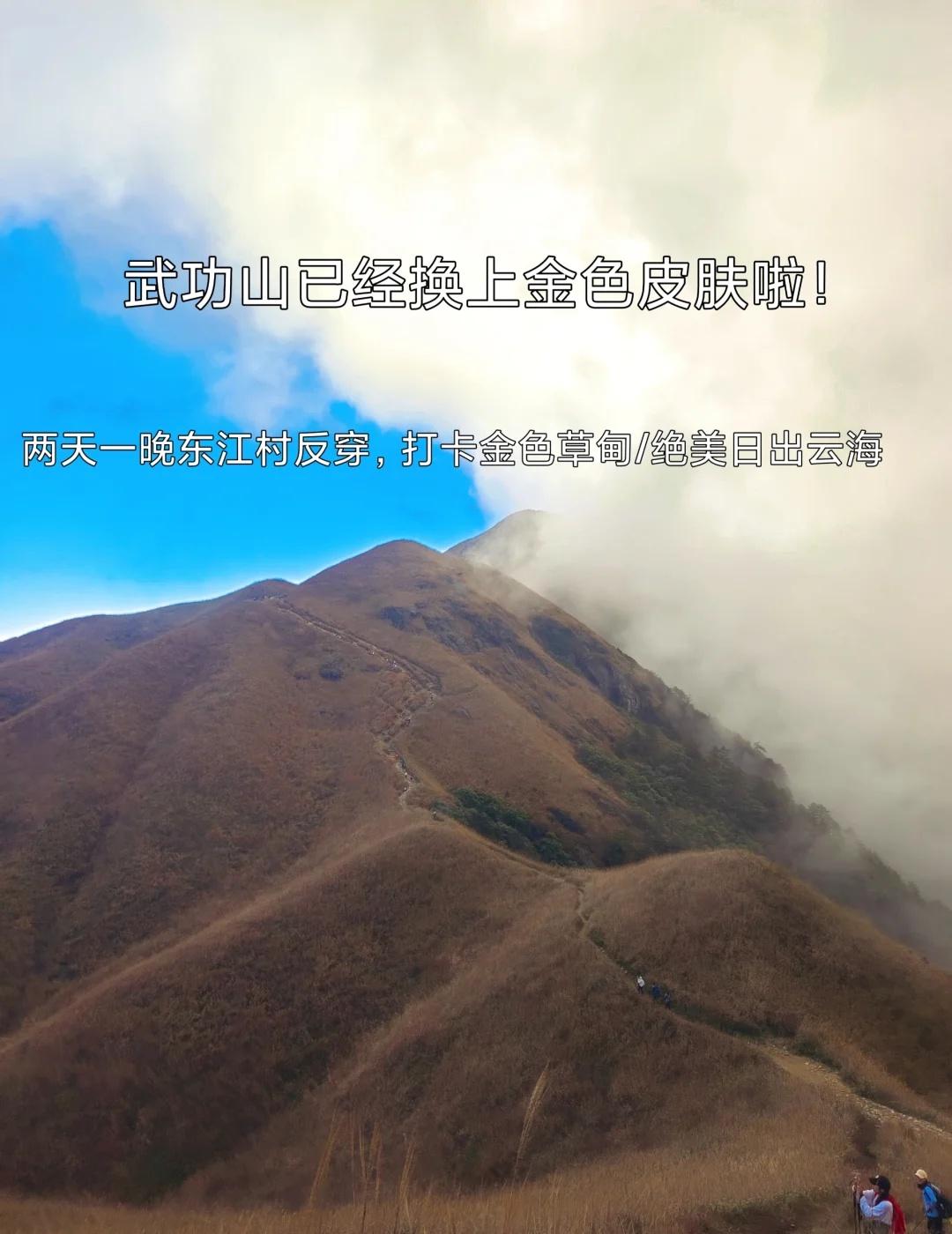 我宣布，武功山已经正式换上“金色皮肤”！随着深秋来临，武功山已经金色皮肤！放