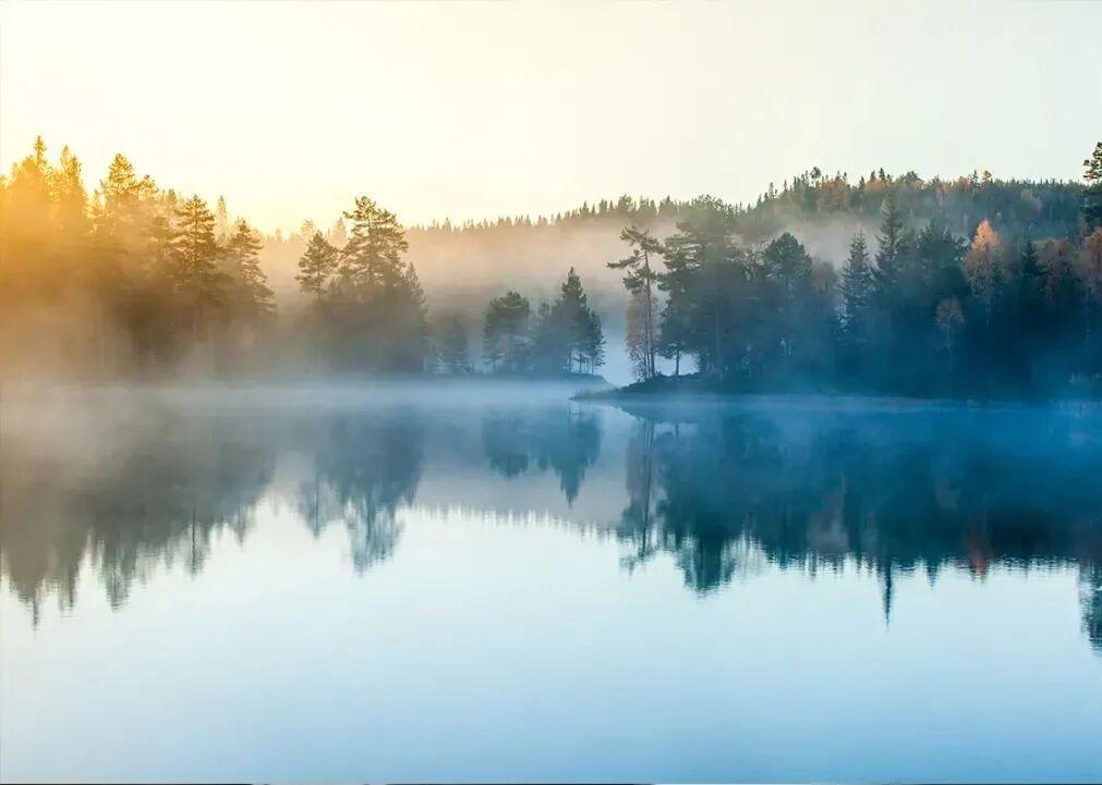 【04.06修身心语】您好！想要过得幸福，最好的依靠，是这三个人：自己。钱