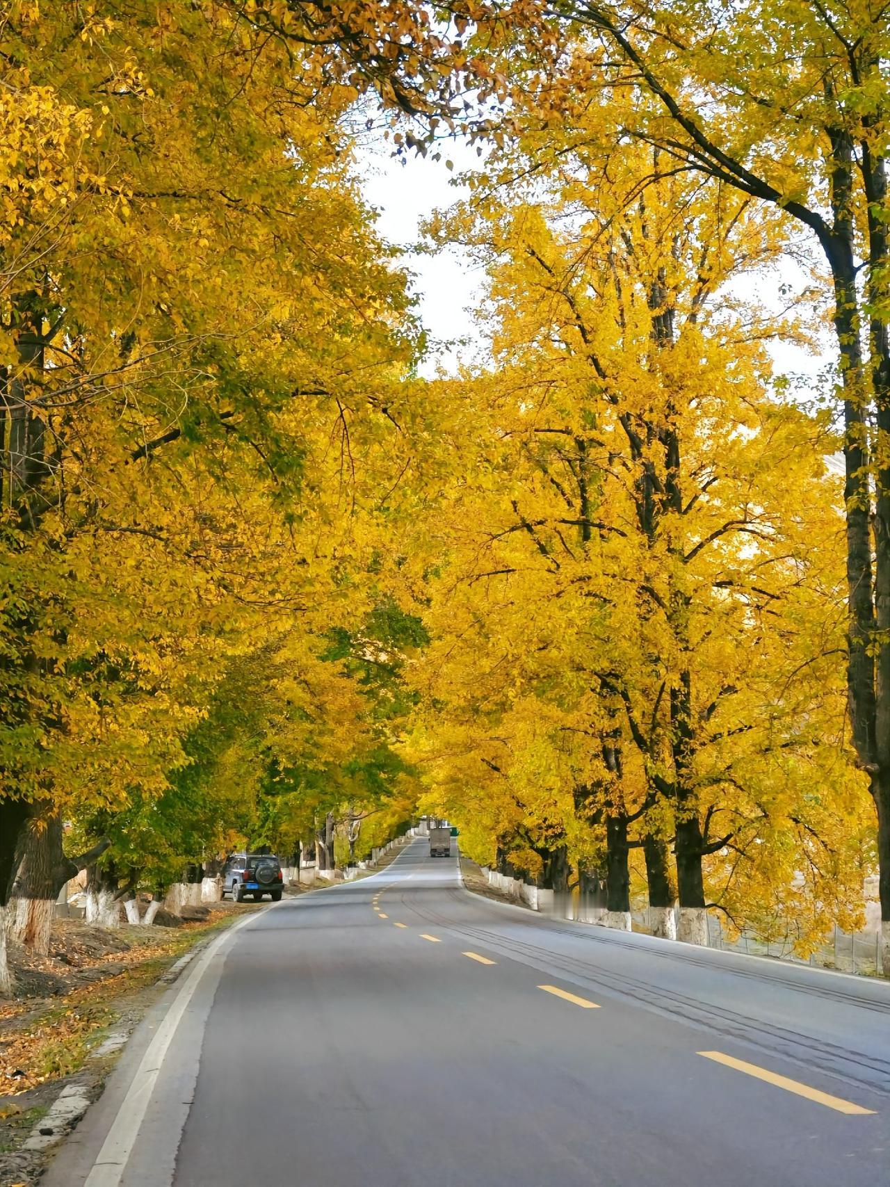985高校的特聘研究员、博士生导师遭到学生实名举报。硕博生提交了83页的举