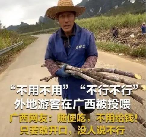 不要钱，随便吃！多名外地游客在广西被投喂，引发全国网友共鸣：太热情了山东游