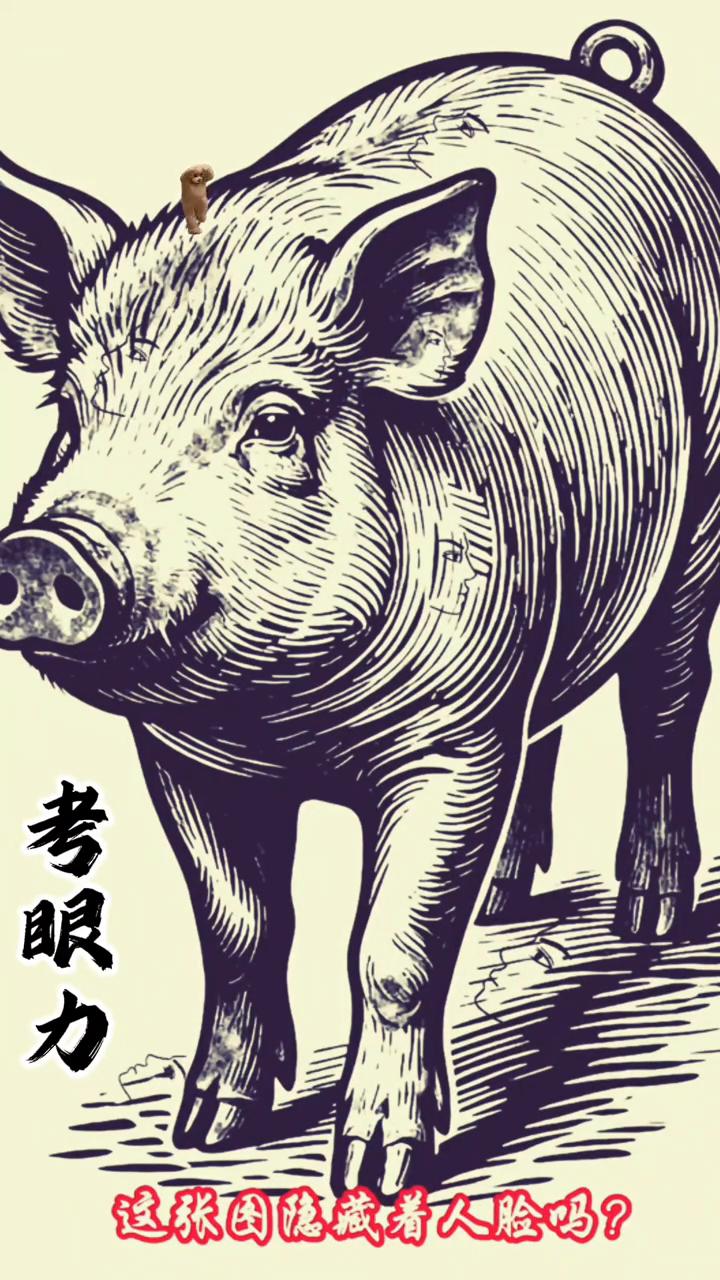 考眼力。这张图隐藏着人脸吗？我问过一百个人都说没能找到第二张人脸。如果找到了，