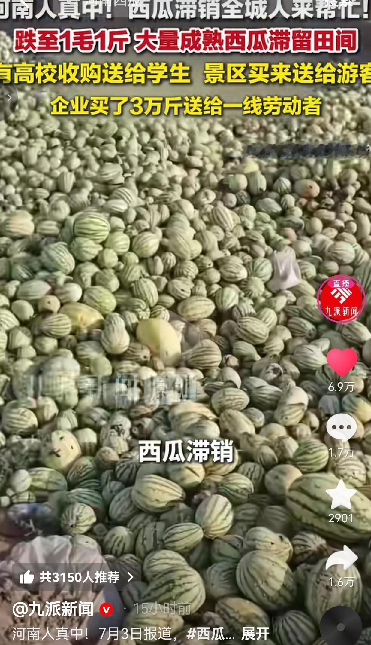 西瓜低至1毛一斤滞销田间，河南各界自发暖心助农，满满城市温情丰收未必全是喜