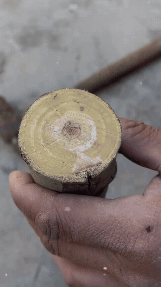 这个玩具小时候你玩过吗？还记得叫什么吗？