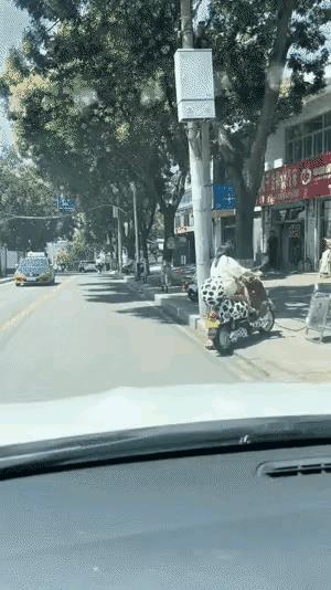 大爷帮乱忙