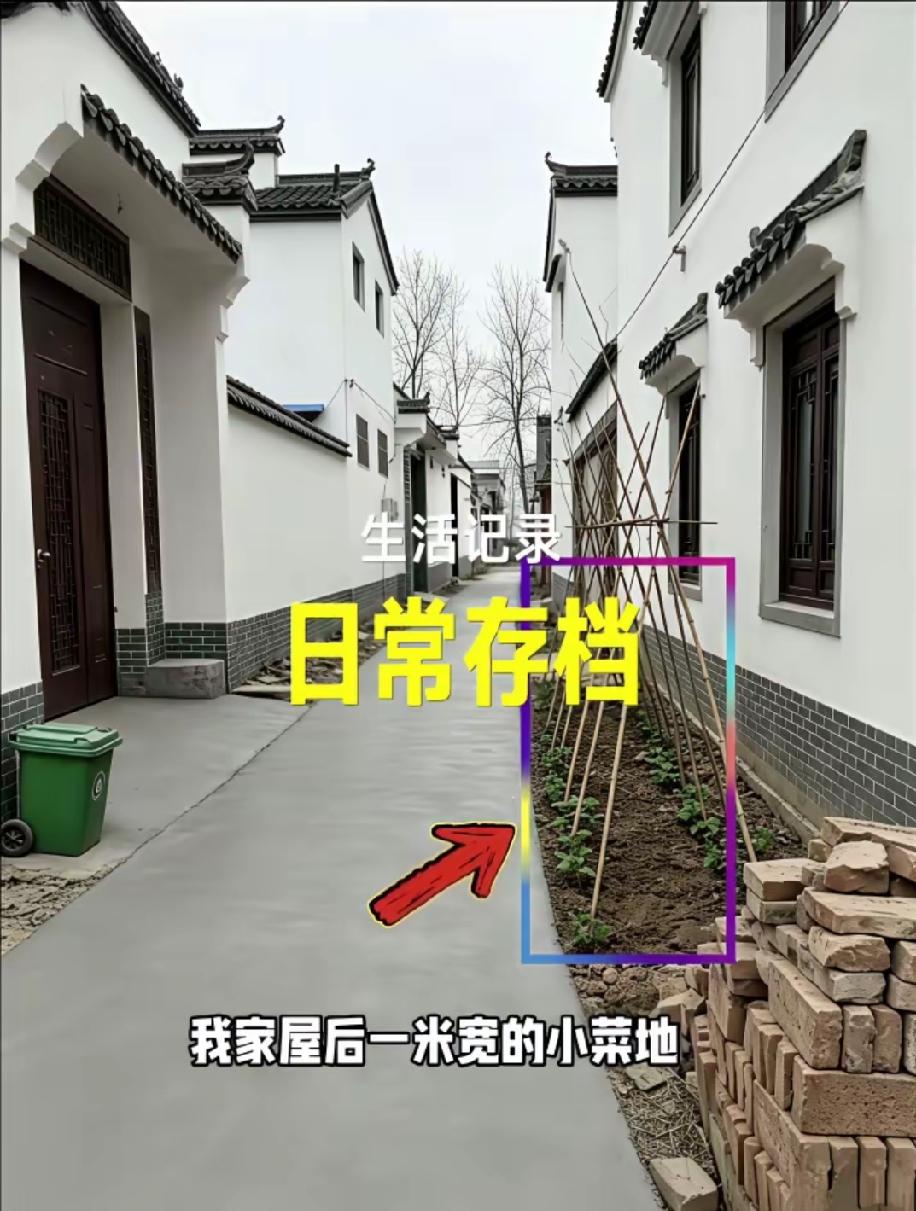 一米菜地看清邻里人心，好心让步换来得寸进尺。农村最磨人的从来不是大事，而是说不