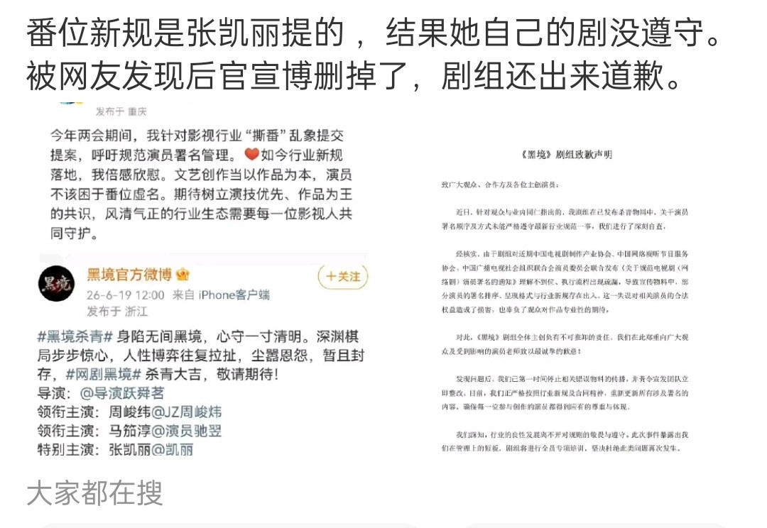 张凯丽说这署名的提案是她提的