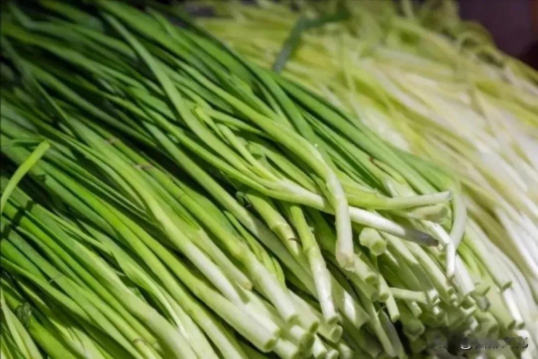 色香味俱全的陇西韭菜陇西韭菜的独特之处体现在其品种特性、种植环境、文化内涵及