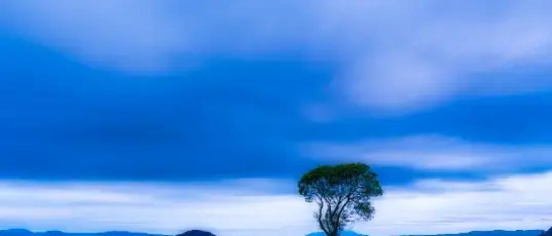 其实我觉得，很多父母都搞错了孝顺这事儿。曾仕强老先生说过，孩子给你买东西发红