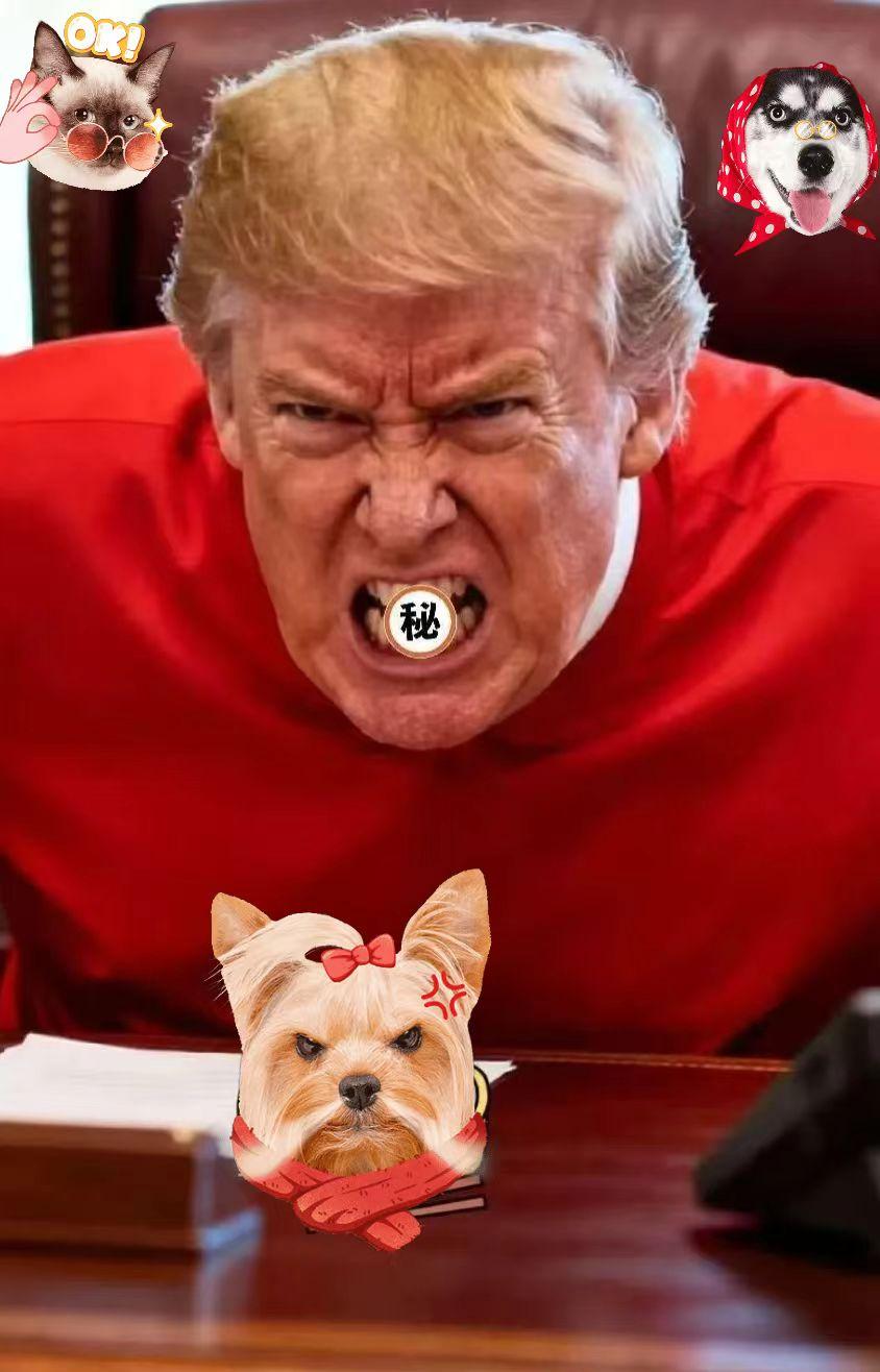 快讯，快讯！美国总统宣布了！11月15日，美国总统特朗普在社交媒体上宣布