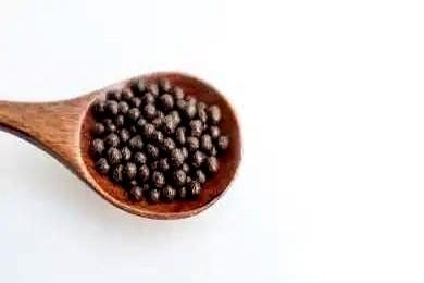 我跟你讲，很多人都掉进一个坑里了。天天喊着要补肾，结果越补人越虚，钱花了一堆，