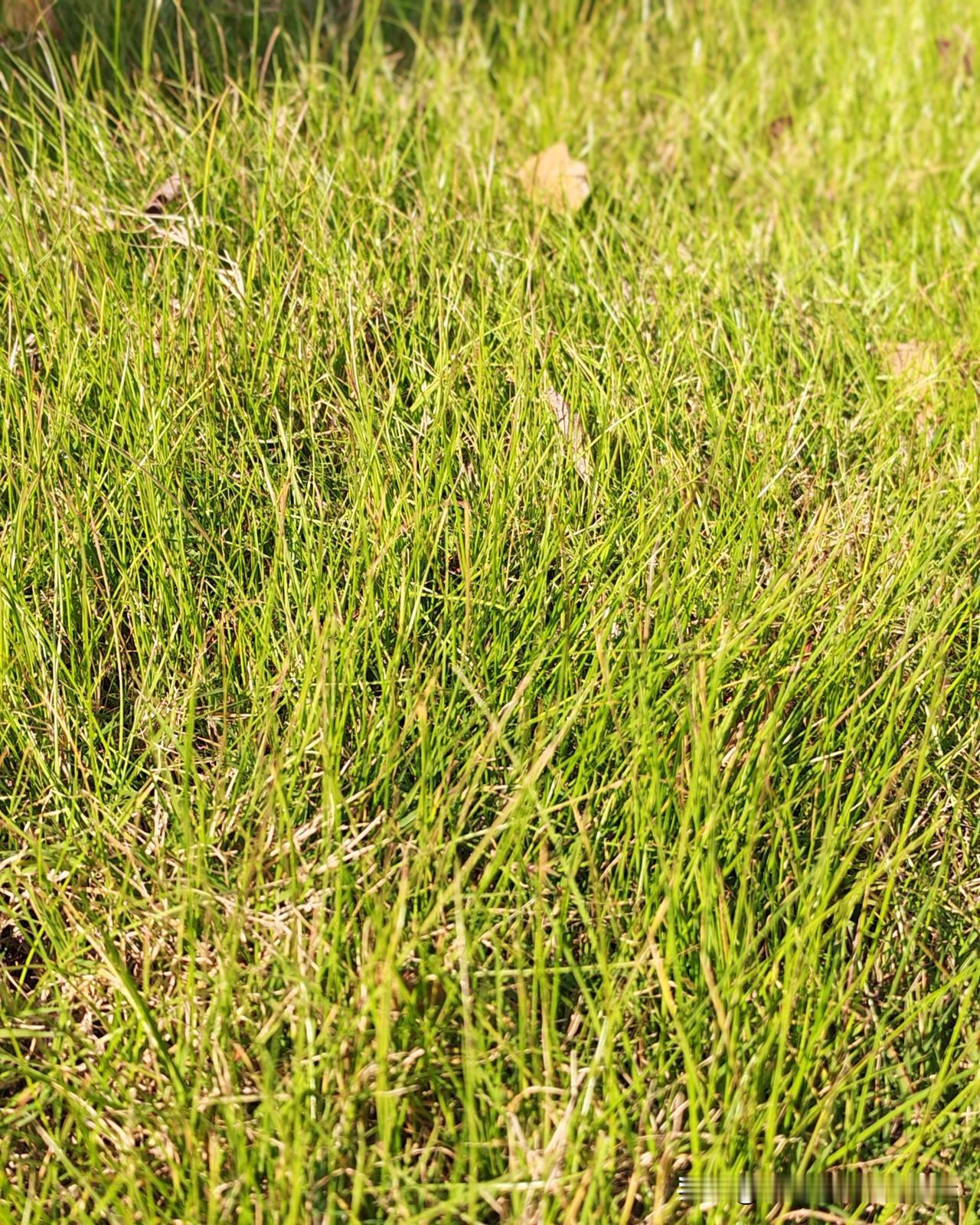 我那同事绝了！去年都快五十了，突然脑子一热考了摩托车驾照，直接解锁“摩旅狂魔”模