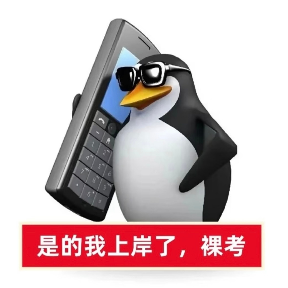 考研明天就要考研了！在这里祝考生朋友们考的都会，蒙的全对！成功上岸！！！💪
