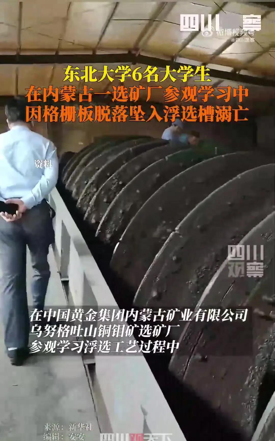 大家千万不要点开浮选槽的图看！因为看完真的心痛到无法呼吸…根据同学透露，生还