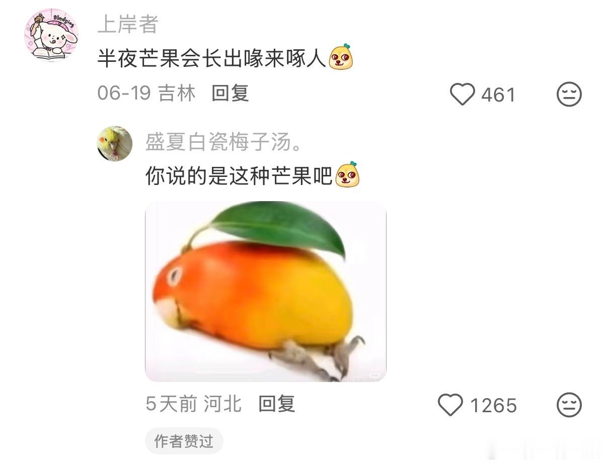 睡觉千万别把芒果放在枕头边