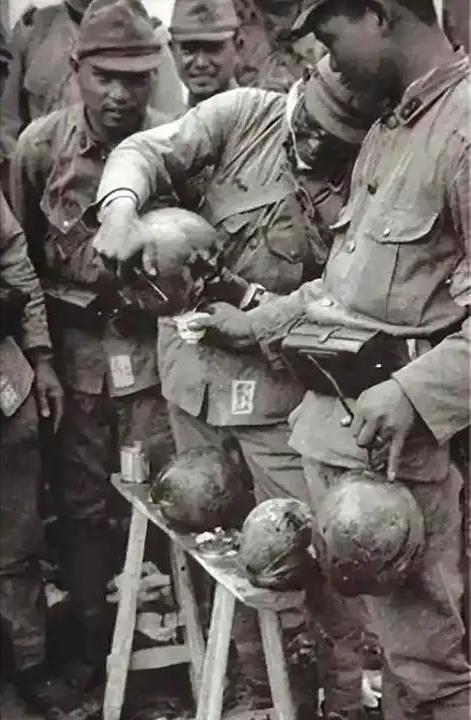 忽悠别人送死，自己却疯狂种地保命。1945年，澳军带着成堆的收尸麻袋登陆太平洋孤