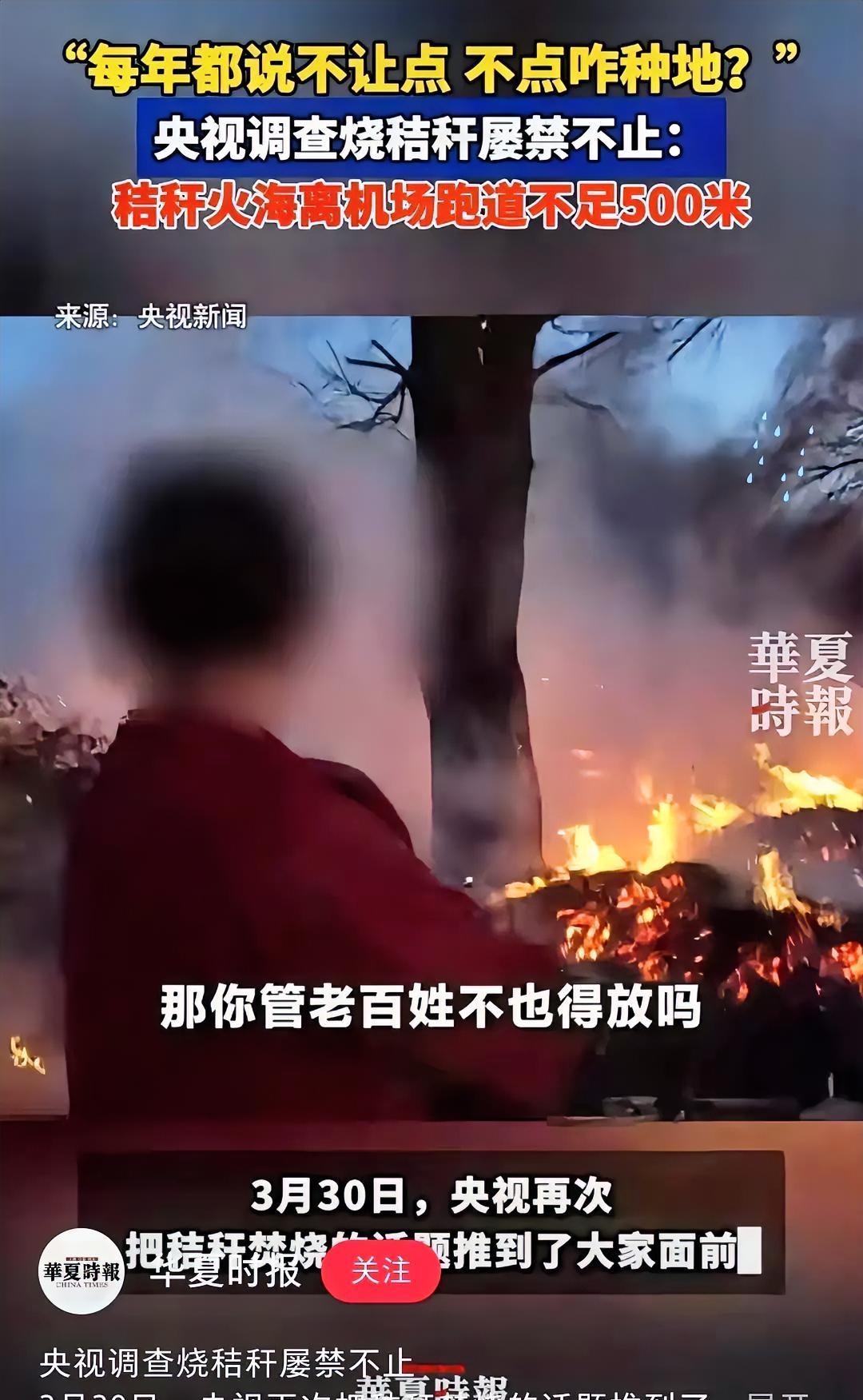 秸秆禁烧与农民耕种的现实矛盾央视镜头前，那个大娘一句话就把专家的脸给扇肿了