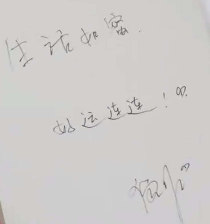 倪妮语录