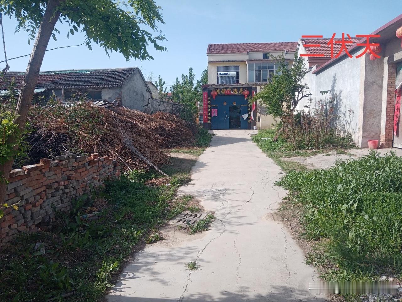 今夏最热时间表出炉，何时最热？早看早知道。今年农历五月初七“夏至”，老话说“夏