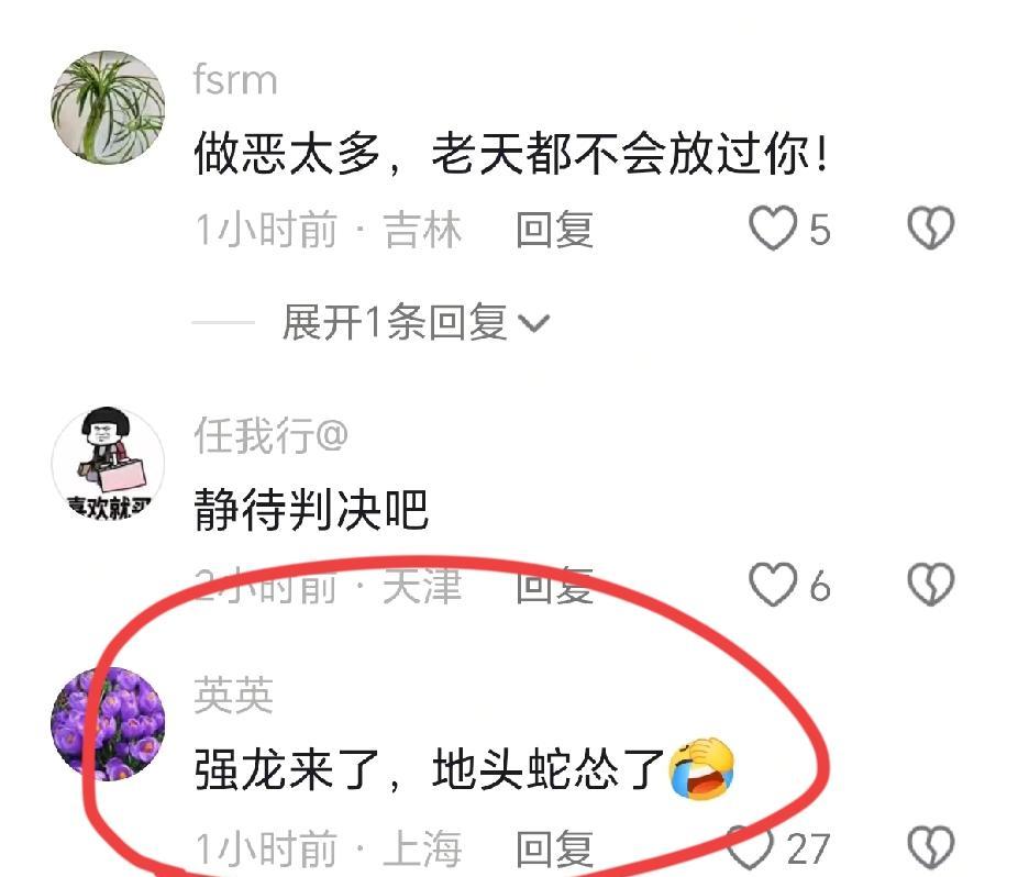 她曾是杜营最硬的盾。现在，这面盾，成了刺向旧主最利的矛。雨下得很大。那个叫