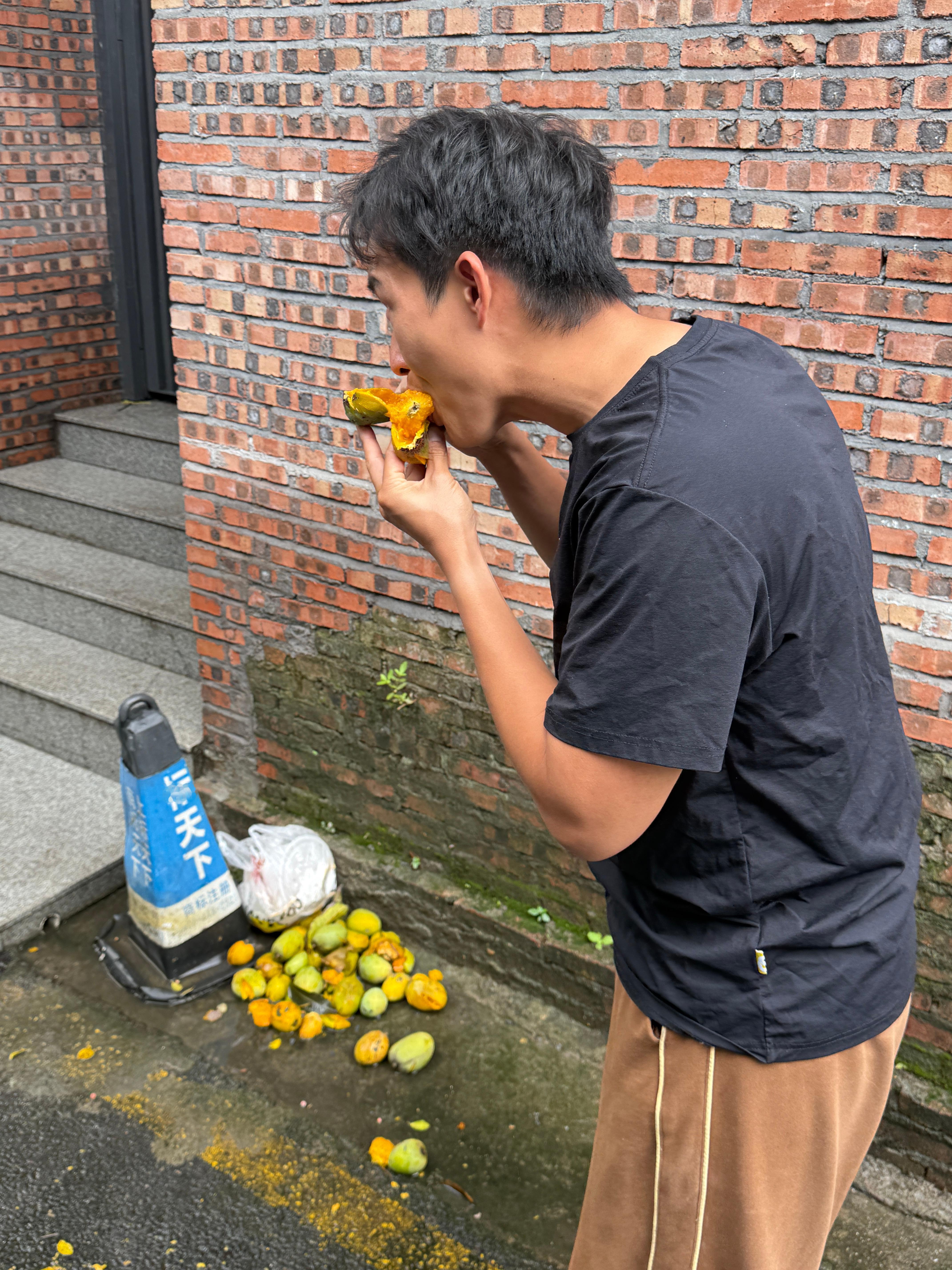 原来钛合金嘴是这么练成的么？树上掉下来的芒果直接捡来吃，我的表情是这样的😱😱