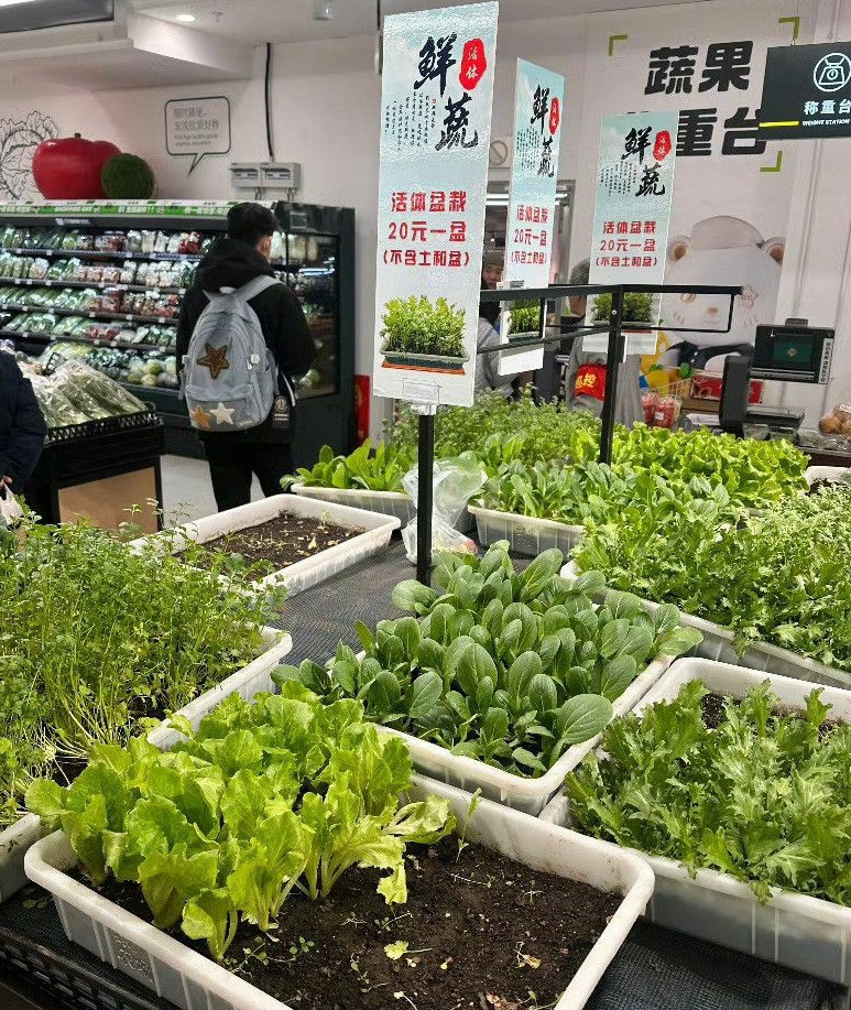 生鲜超市