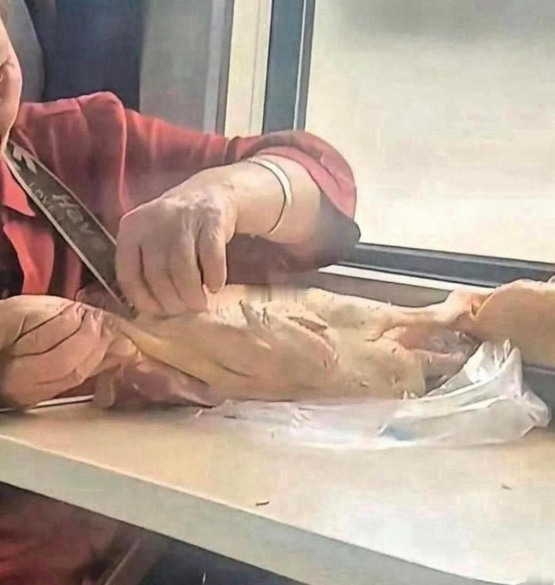 火车这一幕震惊到我了