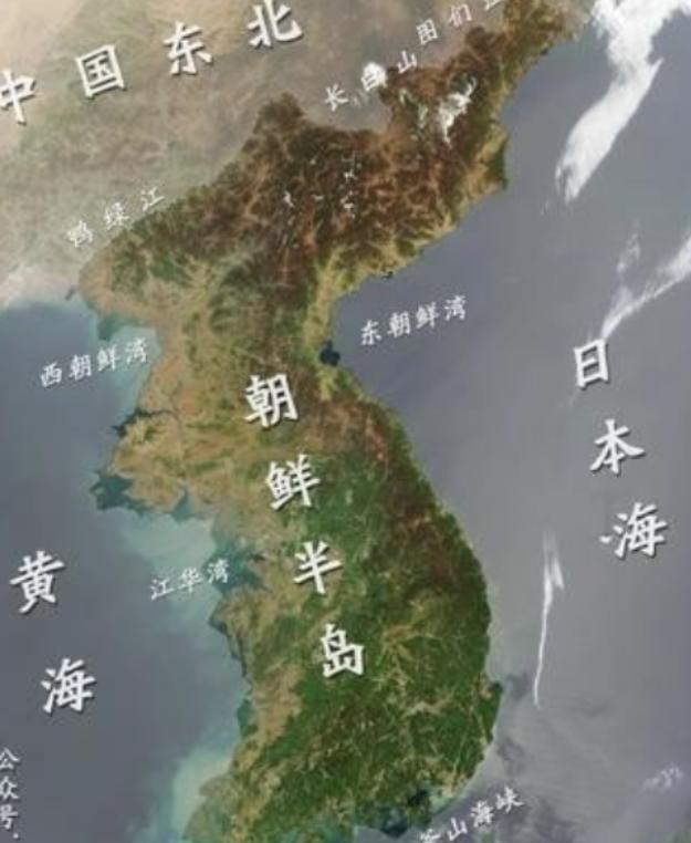 你以为日本怕朝鲜，怕的是那几枚导弹？我告诉你，错了。日本真正睡不好觉的，不是导弹