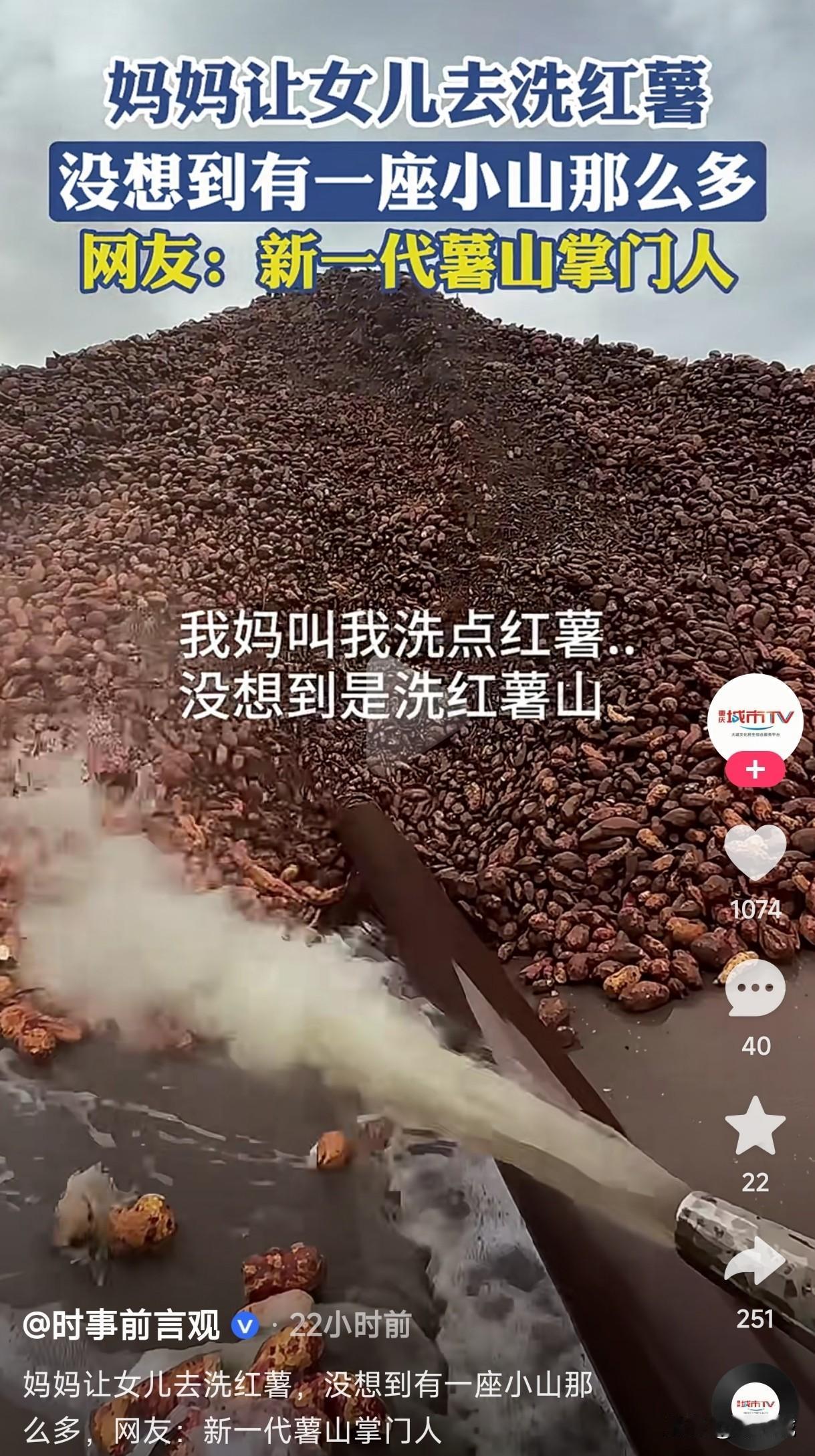 进城当牛马没有适合自己的工作，回农村种植红薯，当薯山掌门人不是也挺好的吗？最起码