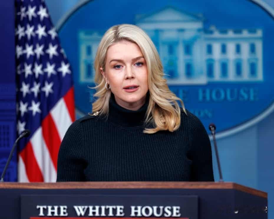 白宫：ICE执法录像不会公开今天凌晨，卡罗琳在例行记者会上回答了有关ICE在明