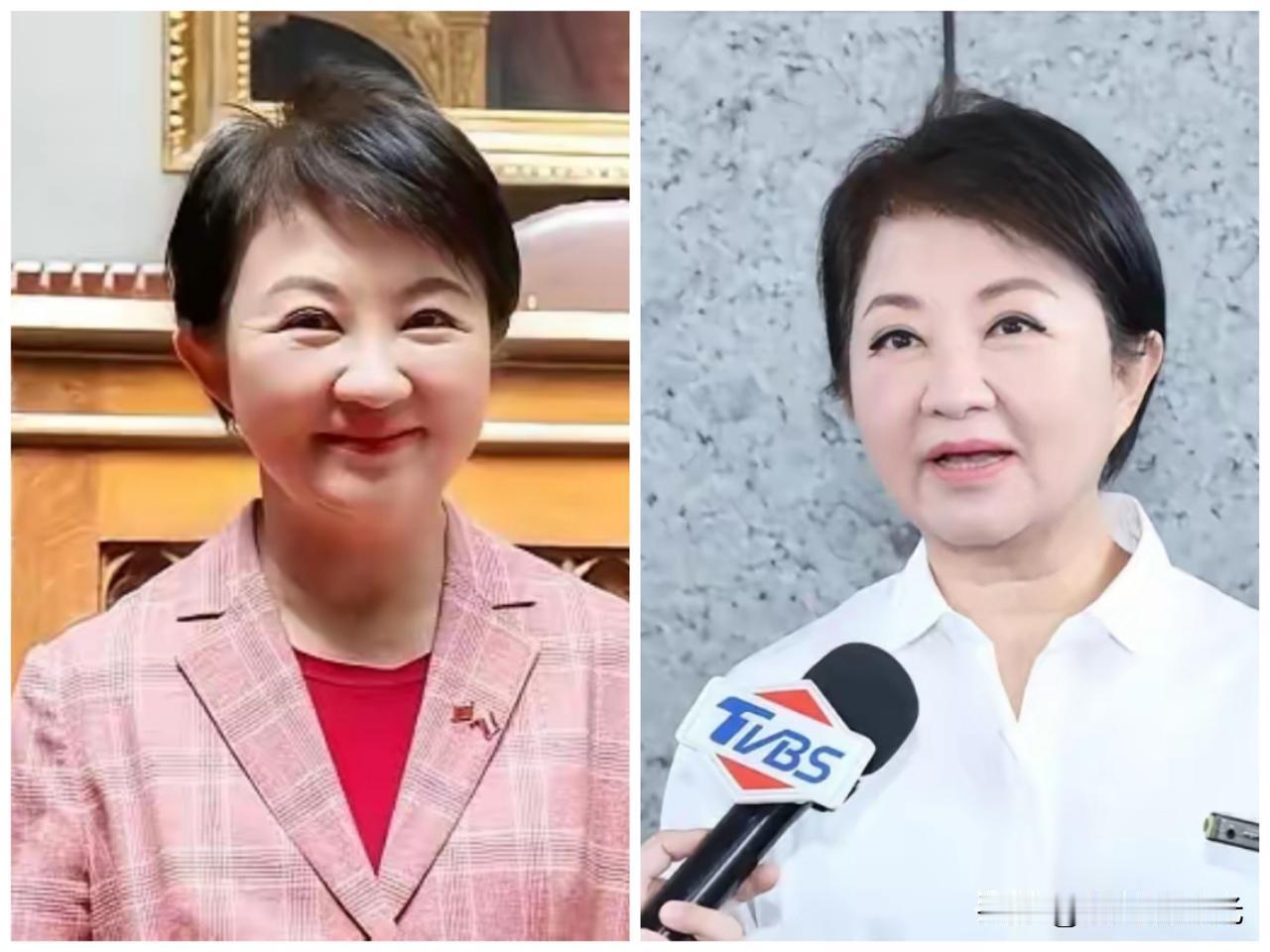你们发现没有，台中市长卢秀燕最近可谓“尽出风头”，频繁参加活动，多次对时政敏感话