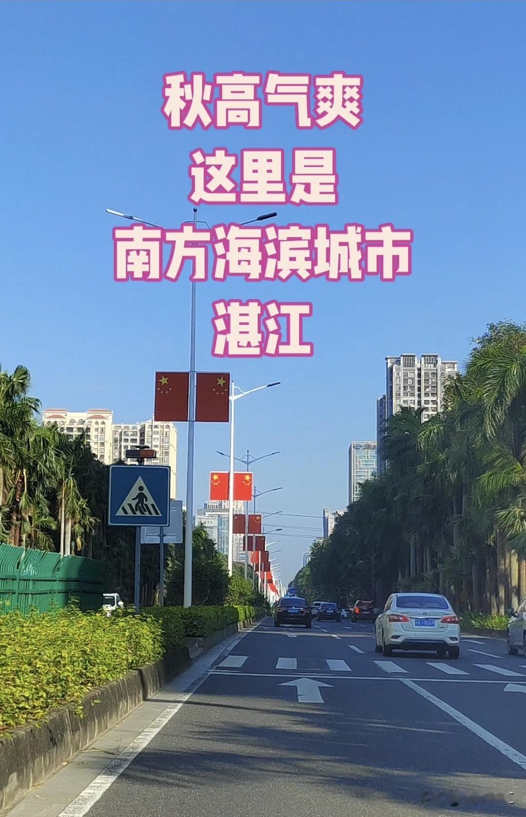 湛江人民大道中间的绿篱（绿化带）是保留好，还是铲除好？几个湛江佬谈到湛江市区
