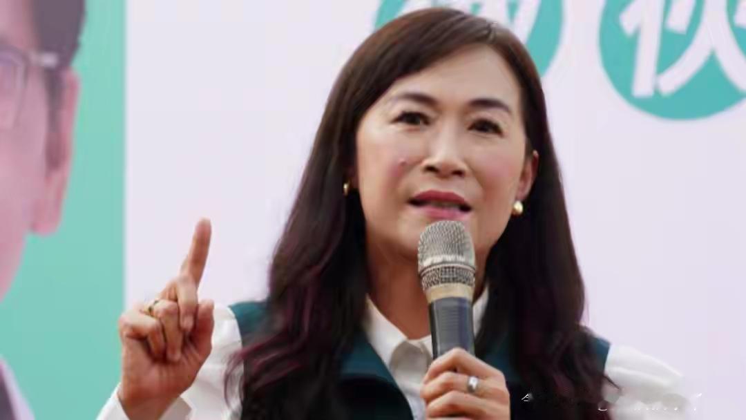 赖清德亲信林宜瑾带着20多位绿委搞了波大的——要把《两岸人民关系条例》改名，删掉