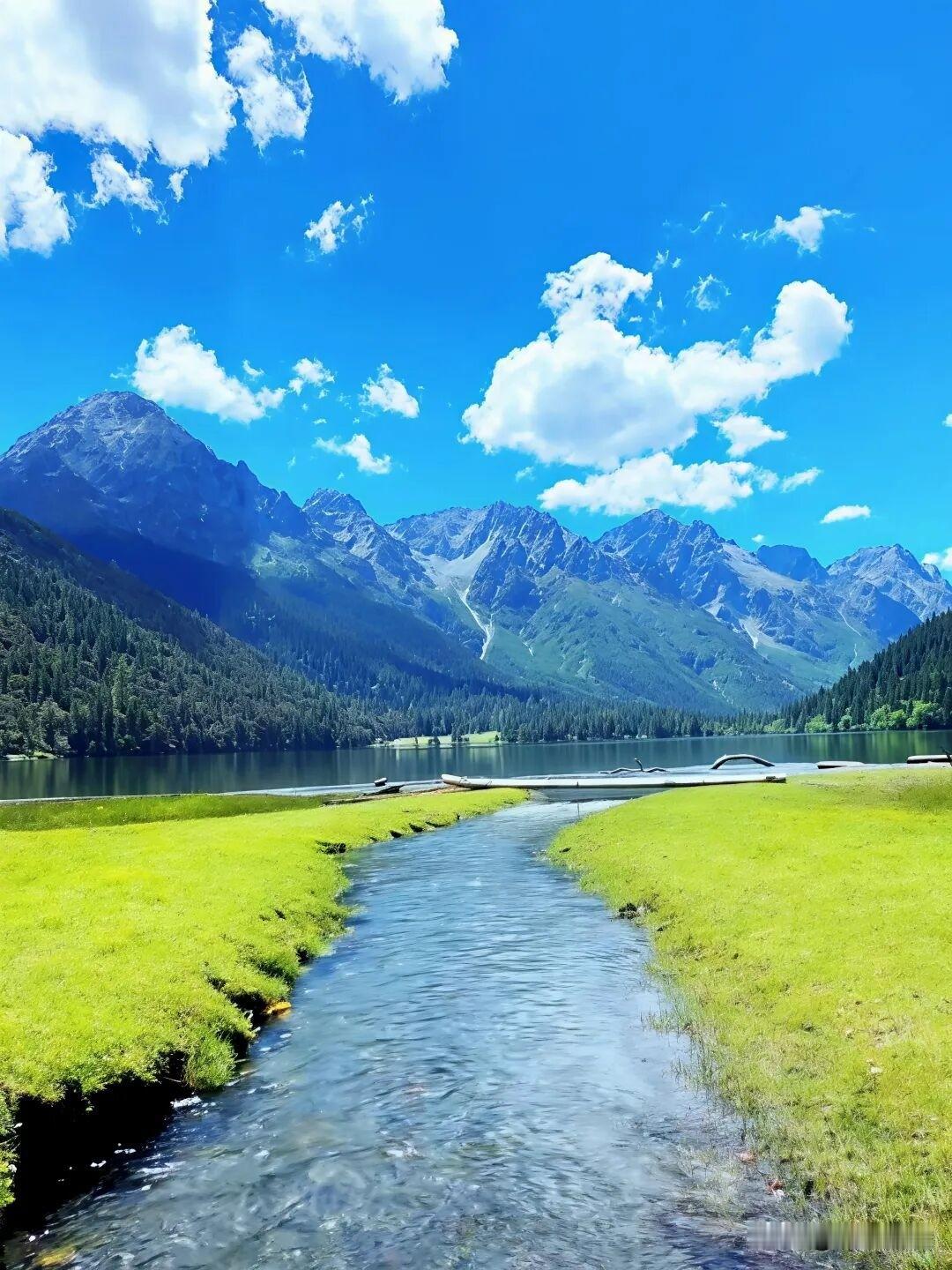 川西九龙伍须海7月10日发公告了，风光赛画的夏日避暑天堂，更有了人间关怀这个九
