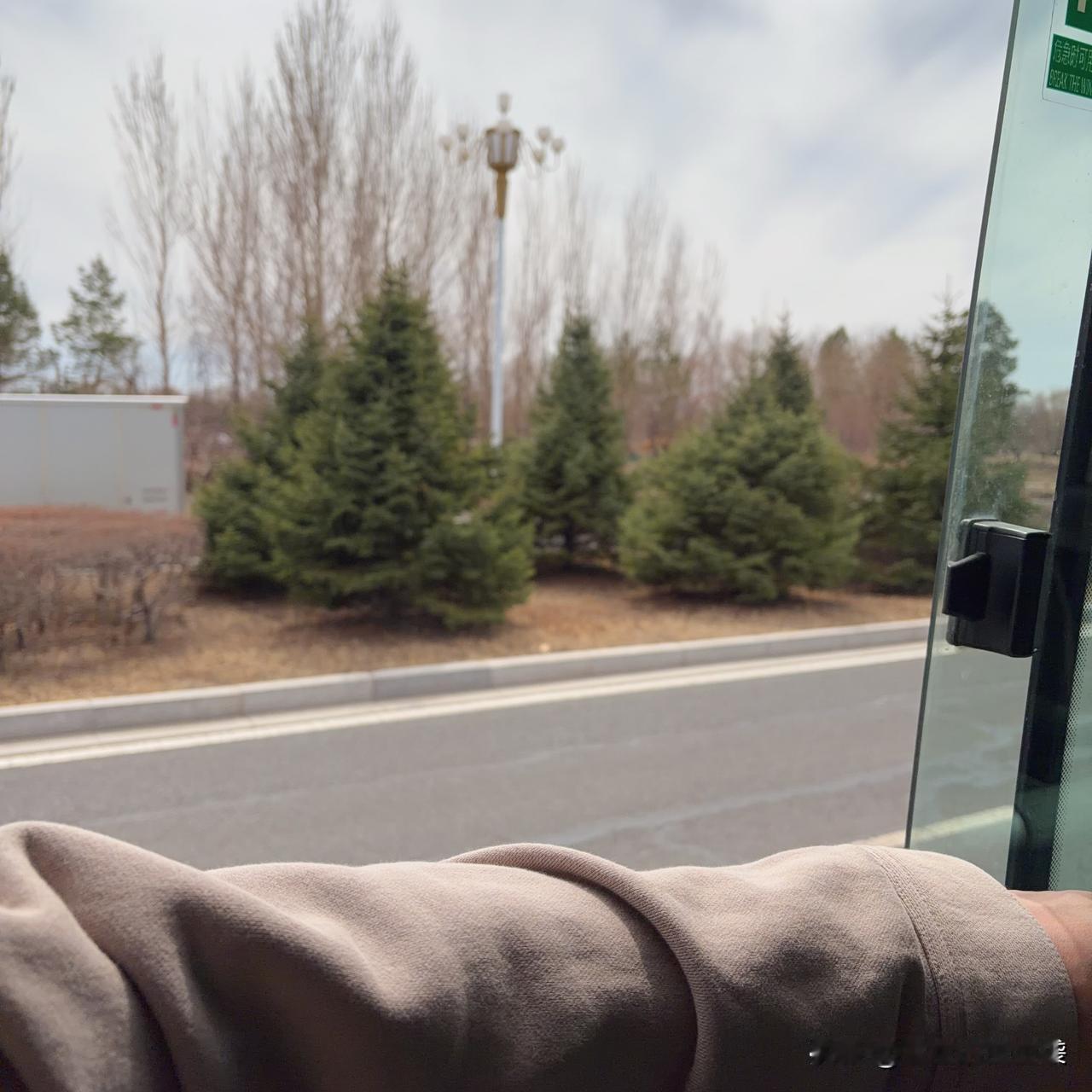 我妈要出门了，不是回老家，也不是旅游，她要去省城治牙。她的牙，是这么多年悬在