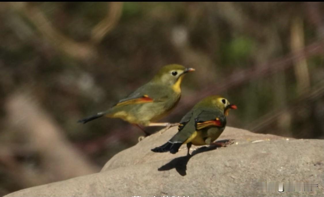 教育孩子有窍门吗？还真有。别老想着让孩子按自己意愿来，得尊重他们的个性。每个孩