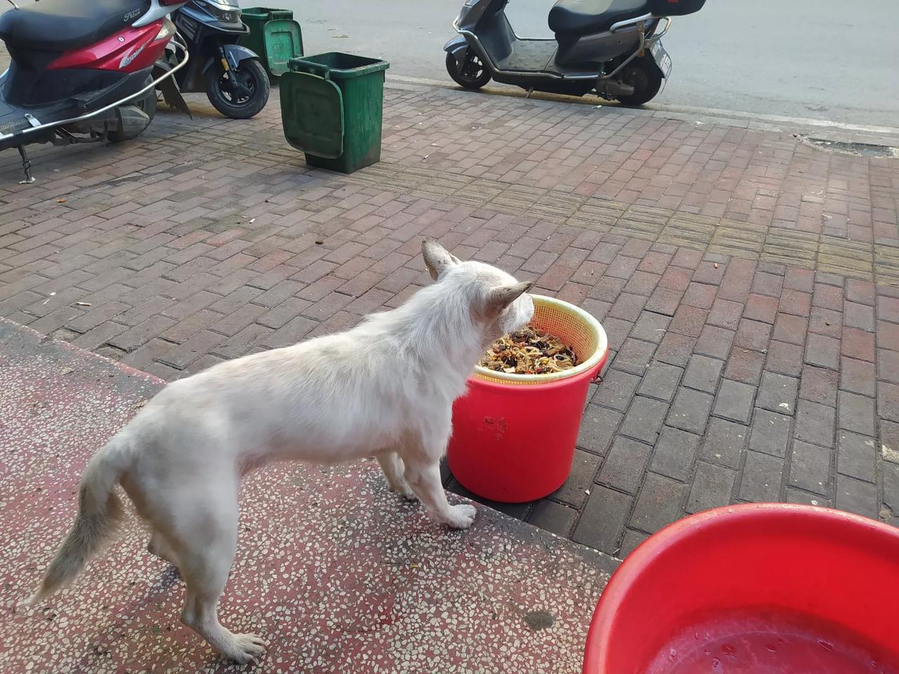 现在的米粉都卖的这么贵，为什么老板还说不挣钱？镇上唯一一家好吃又地道的米粉店