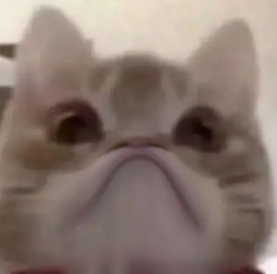 真的瘦的只剩薄薄一片了☹️