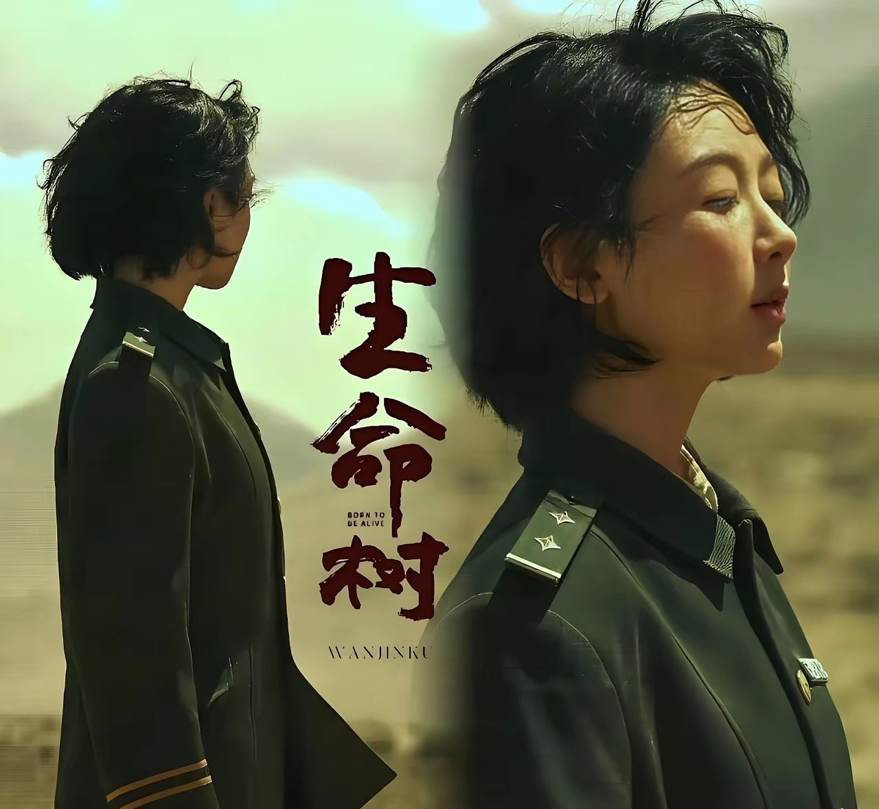 收视垫底却拿视后，你会为杨紫看《生命树》吗？说实话，刚看到这剧收视率在央八排倒数