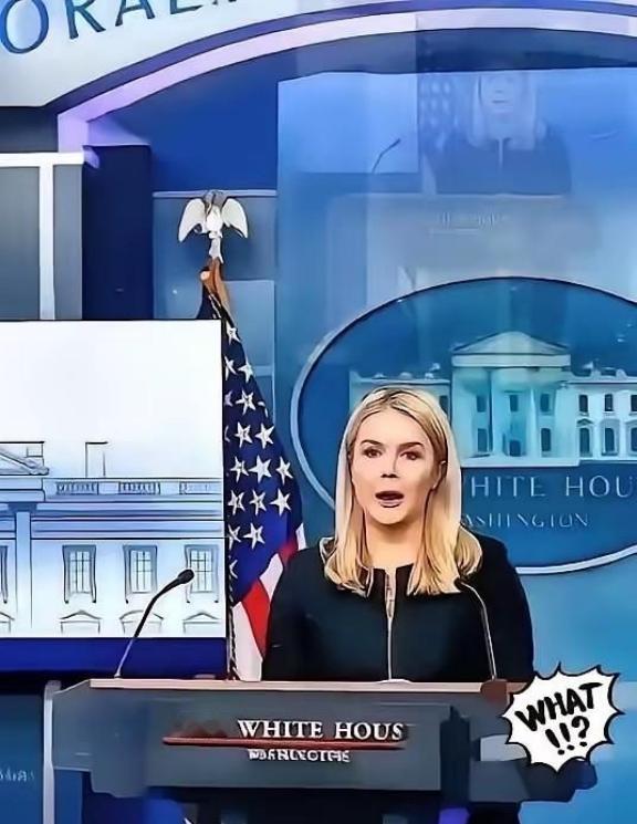 美国被中国再度拒绝了，美国官员很沮丧！美国想卖芯片，中国不买了。这下美国傻眼