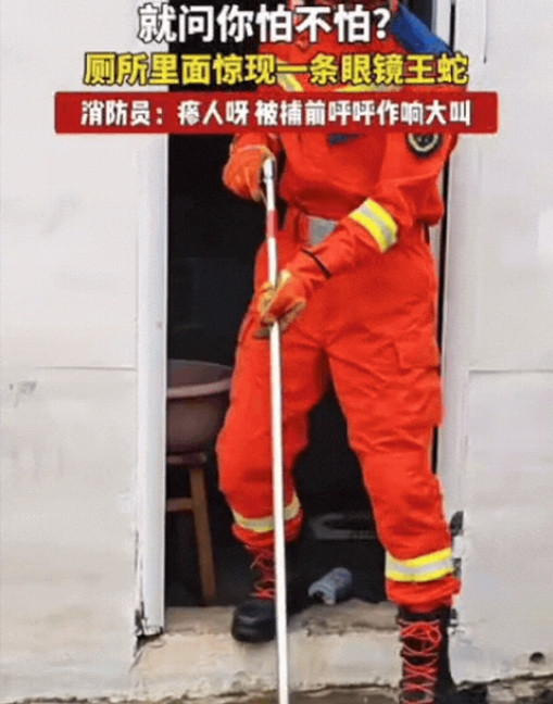 贵州，男子上厕所时，突然听到角落里有一些细小的声音，男子好奇的扭头看，这一眼让男