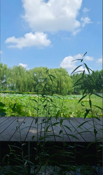我朋友不作了，她老公这次是彻底跟她“拜拜”了。俩人闹了四次离婚，有一次领了离婚证