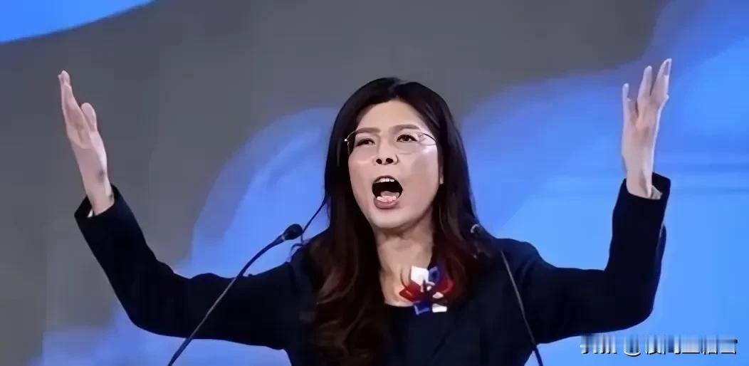 Родился郑丽文在台北开腔，首次公开否认“一国两制”，不再兜圈子。这番话丢